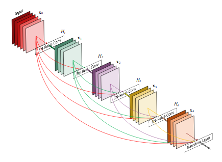 Basic architecture of the Densely Connected Convolutional Networks